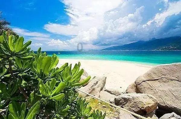 安顺龙宫旅行社纯玩团报价，荔波小七孔旅行社排名前十名
