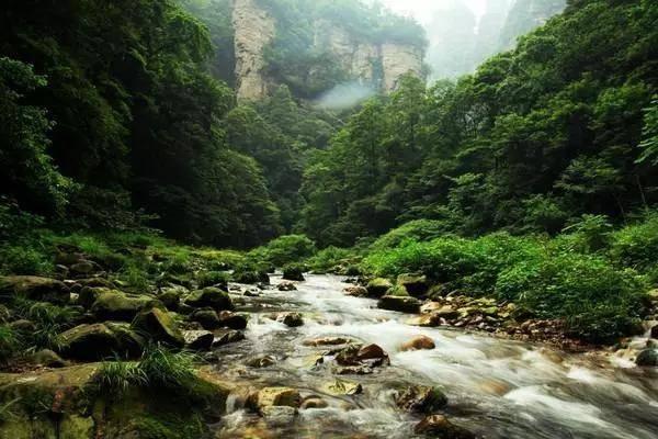鹤顶红这种毒药真的存在吗？游戏画面